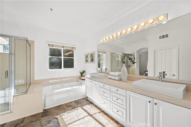 bathroom featuring plenty of natural light, plus walk in shower, and vanity