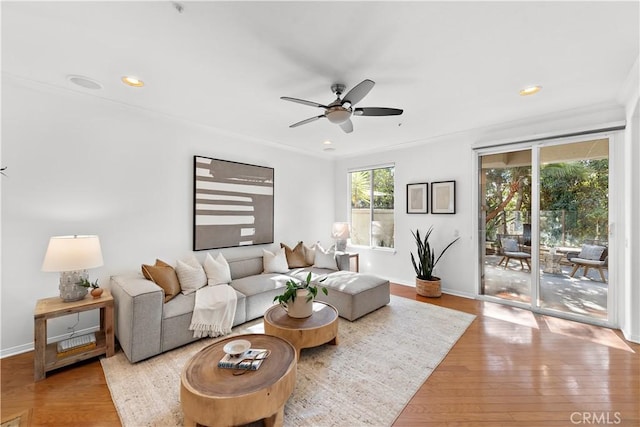 living room featuring ceiling fan, ornamental molding, and light hardwood / wood-style floors