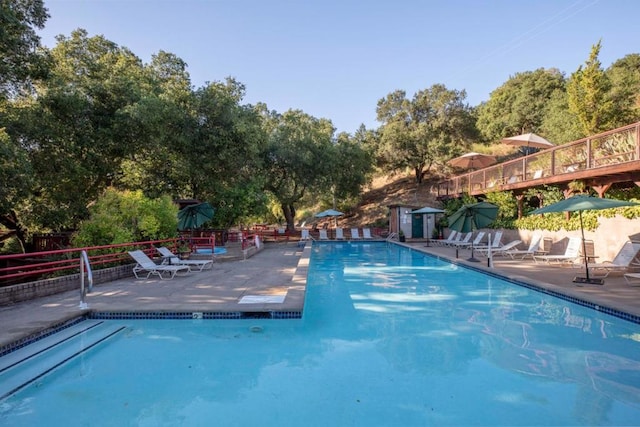 view of pool with a patio area