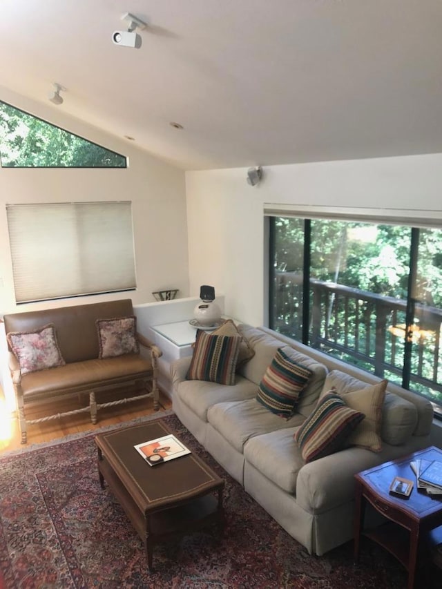 living room with lofted ceiling