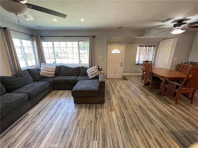 living room with hardwood / wood-style flooring, a textured ceiling, and a healthy amount of sunlight