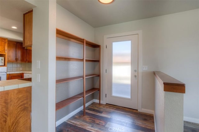 entryway featuring dark wood-type flooring