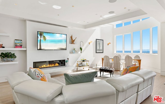 living room with light wood-type flooring