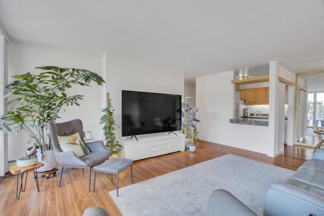 living room featuring wood-type flooring