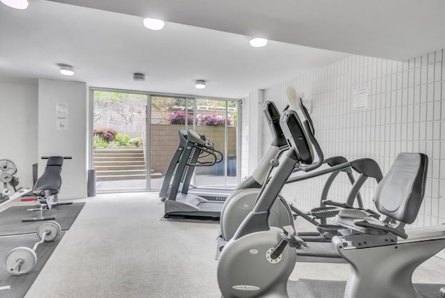 gym featuring a wall of windows