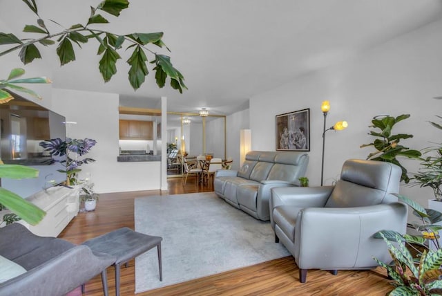 living room featuring wood-type flooring