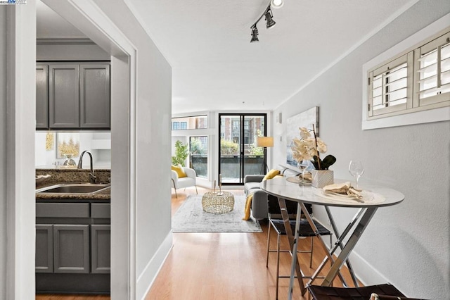 dining room featuring sink, track lighting, and hardwood / wood-style floors