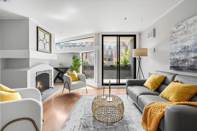 living room with light hardwood / wood-style flooring and expansive windows