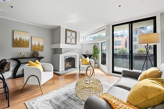 living room with light wood-type flooring