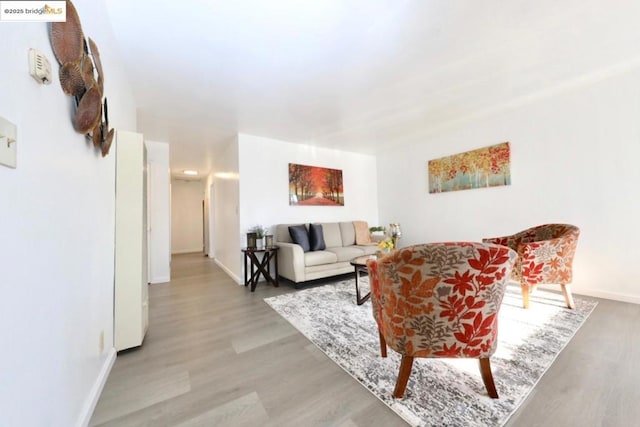 living room featuring wood-type flooring