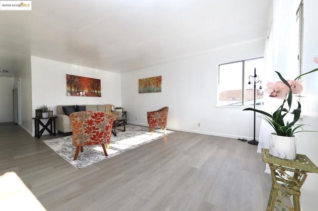 living room featuring hardwood / wood-style flooring