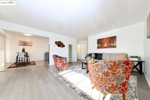 living room featuring wood-type flooring