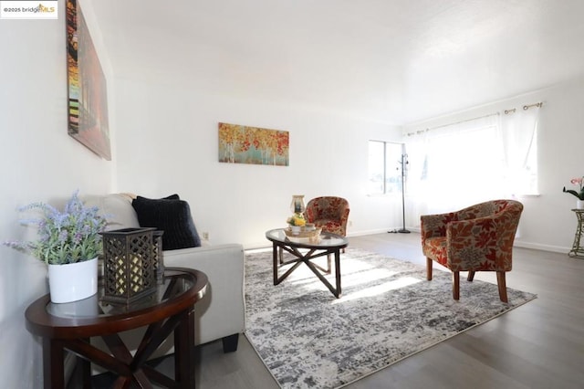 living room with hardwood / wood-style floors