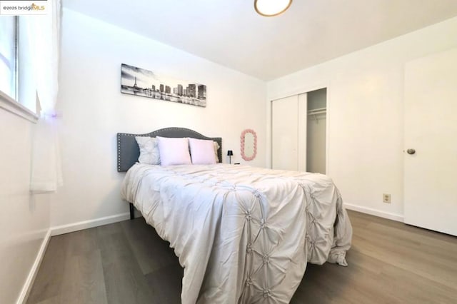 bedroom featuring a closet and dark hardwood / wood-style flooring