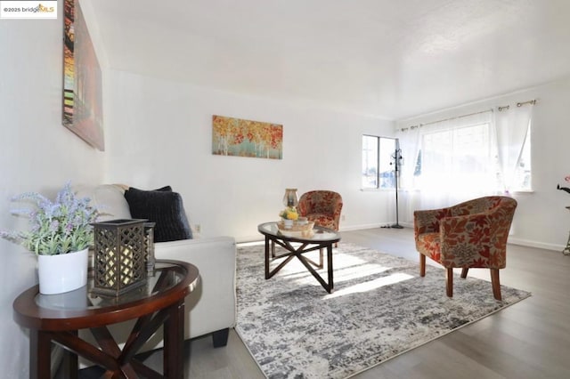 living room with hardwood / wood-style flooring