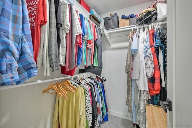 walk in closet featuring carpet flooring