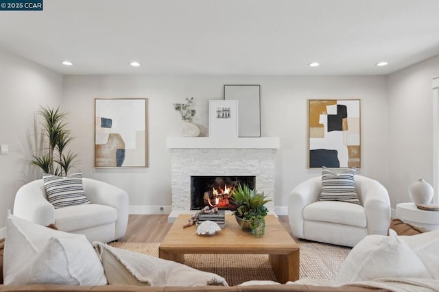 living room featuring a stone fireplace and hardwood / wood-style flooring