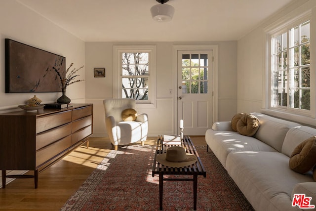 living area with dark wood-type flooring