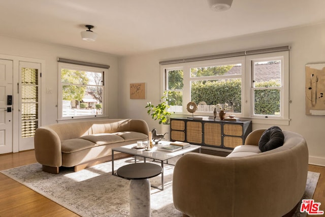 living room with wood-type flooring and a wealth of natural light