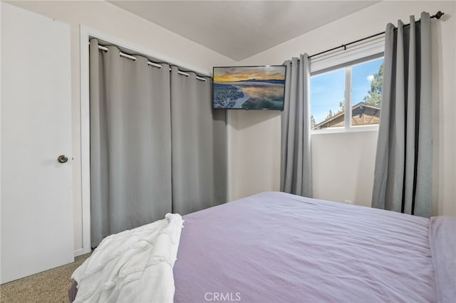 bedroom featuring carpet flooring