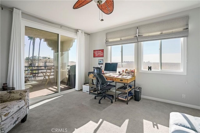 office space featuring ceiling fan and carpet