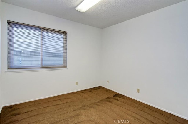 spare room featuring carpet flooring