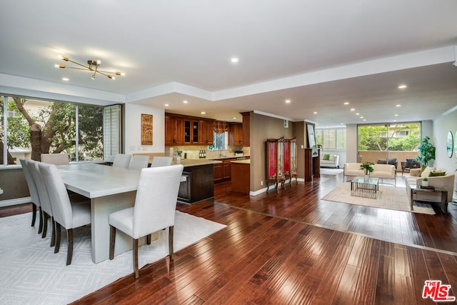 dining room featuring dark hardwood / wood-style flooring