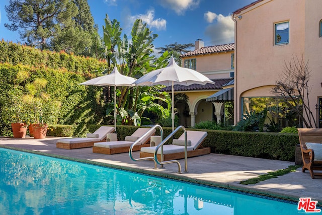 view of pool featuring a patio