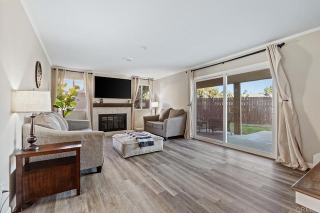 living room with hardwood / wood-style floors