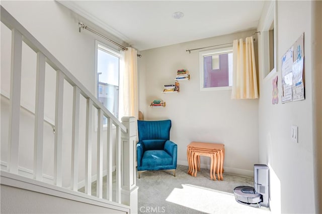 sitting room with carpet