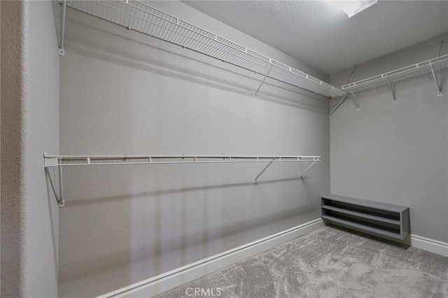 spacious closet featuring light carpet