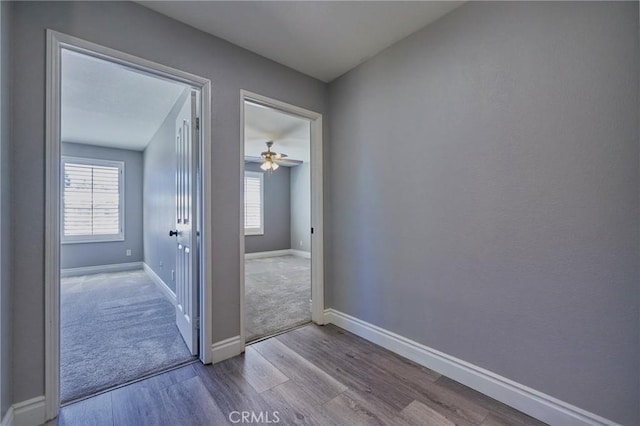 hall with light hardwood / wood-style flooring and a wealth of natural light