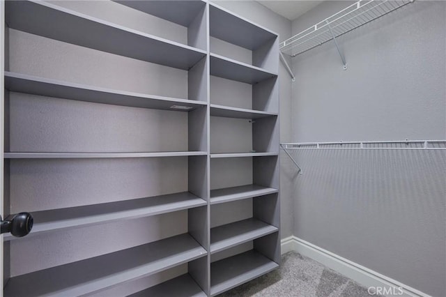 spacious closet with carpet floors