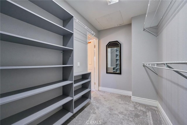 spacious closet with carpet