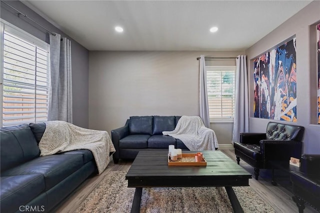 living room with hardwood / wood-style flooring