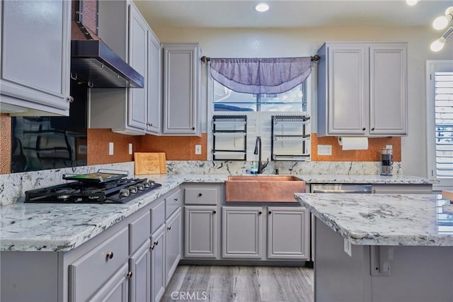 kitchen with appliances with stainless steel finishes, gray cabinets, sink, and light wood-type flooring