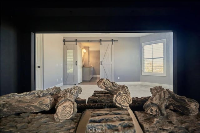 bedroom with a barn door