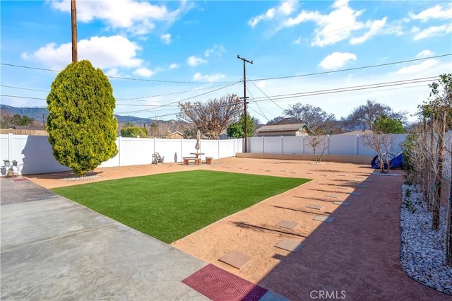 view of yard featuring a patio