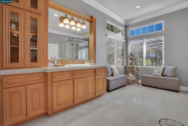 bathroom featuring crown molding, a healthy amount of sunlight, a shower with shower door, and vanity