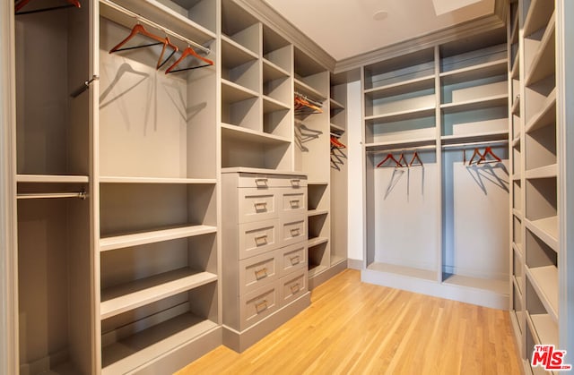 walk in closet featuring hardwood / wood-style flooring