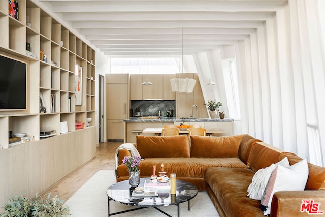 living room featuring sink and light wood-type flooring