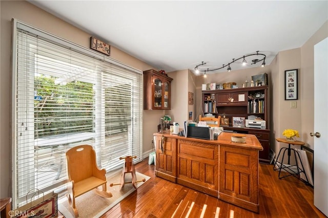 office featuring dark wood-type flooring