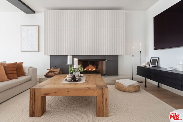 living room featuring wood-type flooring