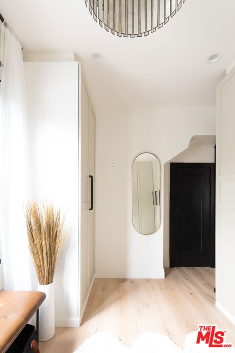 foyer featuring light wood-type flooring