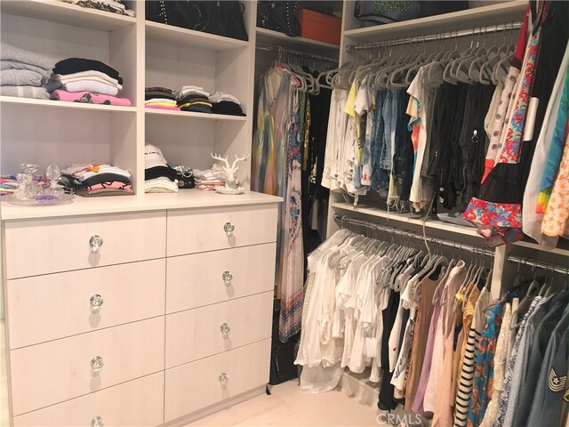 view of walk in closet