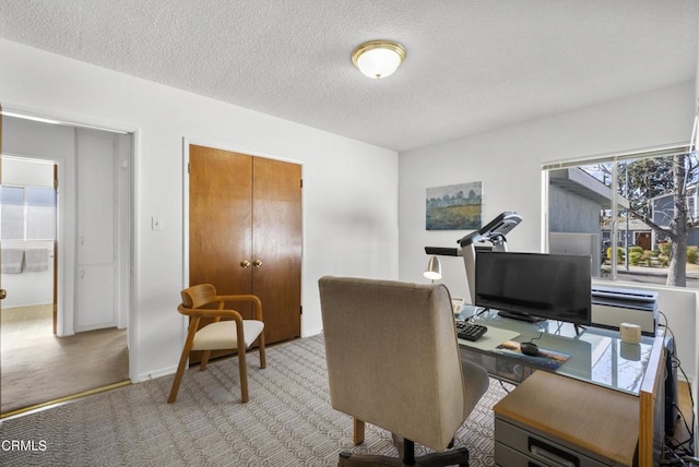 carpeted office with a textured ceiling