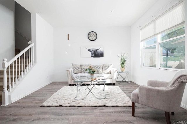 living room with hardwood / wood-style flooring