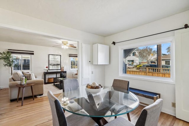 dining room with ceiling fan, radiator heating unit, and light hardwood / wood-style flooring