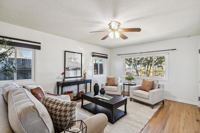 living room featuring ceiling fan, a textured ceiling, and light wood-type flooring