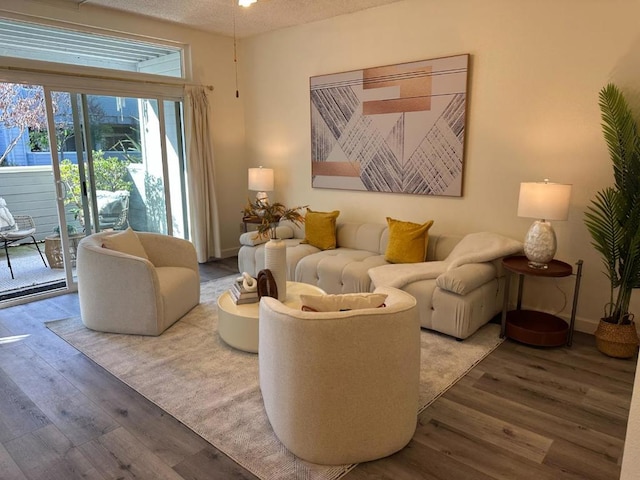 living room featuring hardwood / wood-style flooring and a textured ceiling